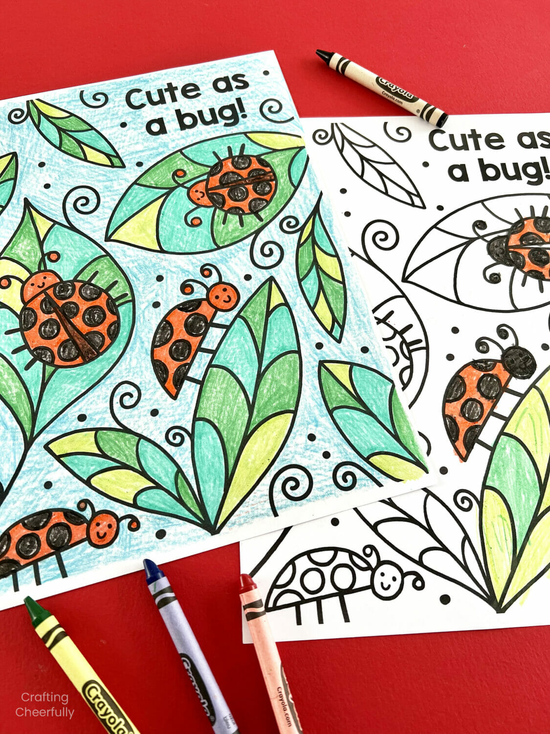 Ladybug coloring pages that read "cute as a bug" lay on a red surface.