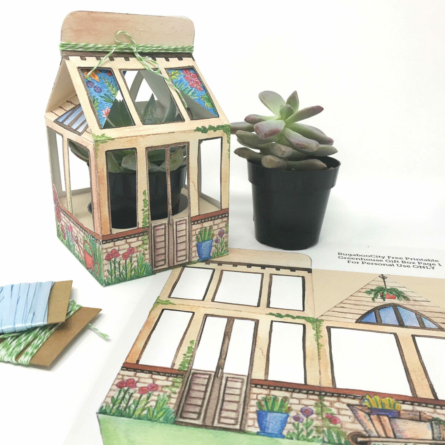 Paper treat box that looks like a greenhouse, sits next to a small succulent plant.