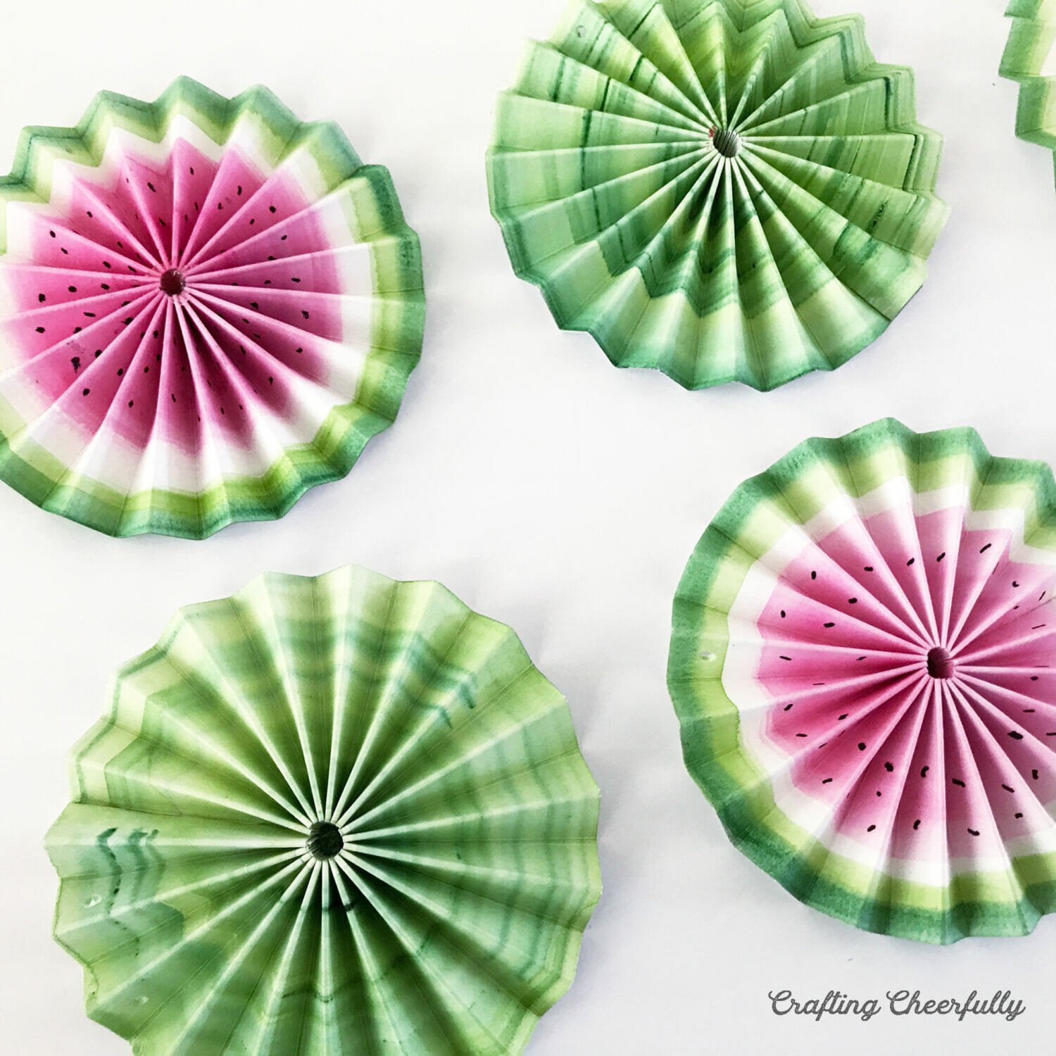 Watermelon medallions; some look like the inside of the watermelon and other's like the outside rind.