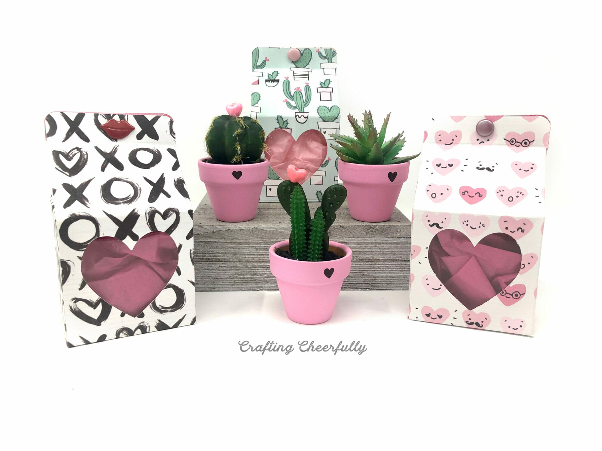 DIY Valentine's Day cactus plants in cute pink pots gifted in sweet handmade boxes
