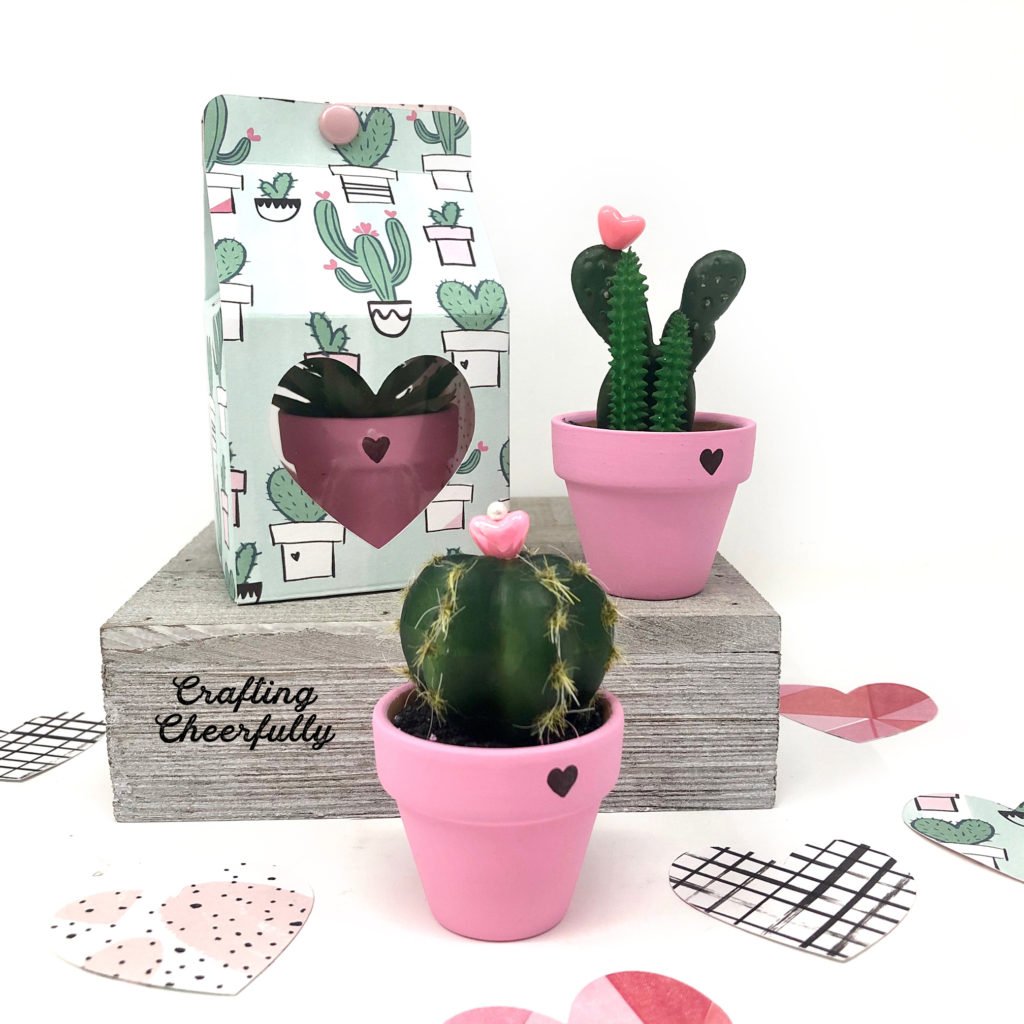 DIY Valentine's Day Gift Boxes - with Cute Cactus Gifts ...