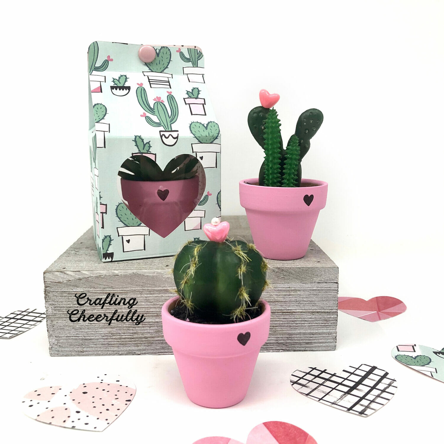 DIY Valentine's Day cactus plants in cute pink pots gifted in a sweet handmade box.