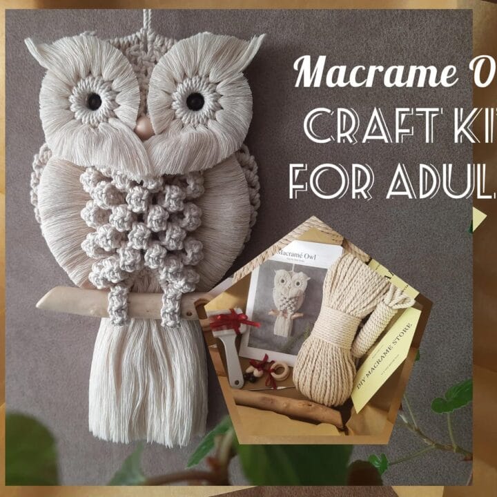 Image for Owl Macrame DIY Craft Kit