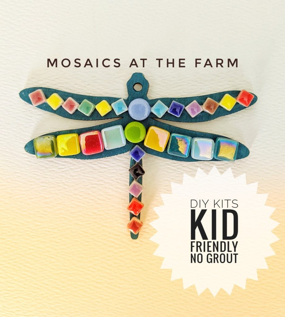 Mosaics at the Farm DIY Mosaic Kit