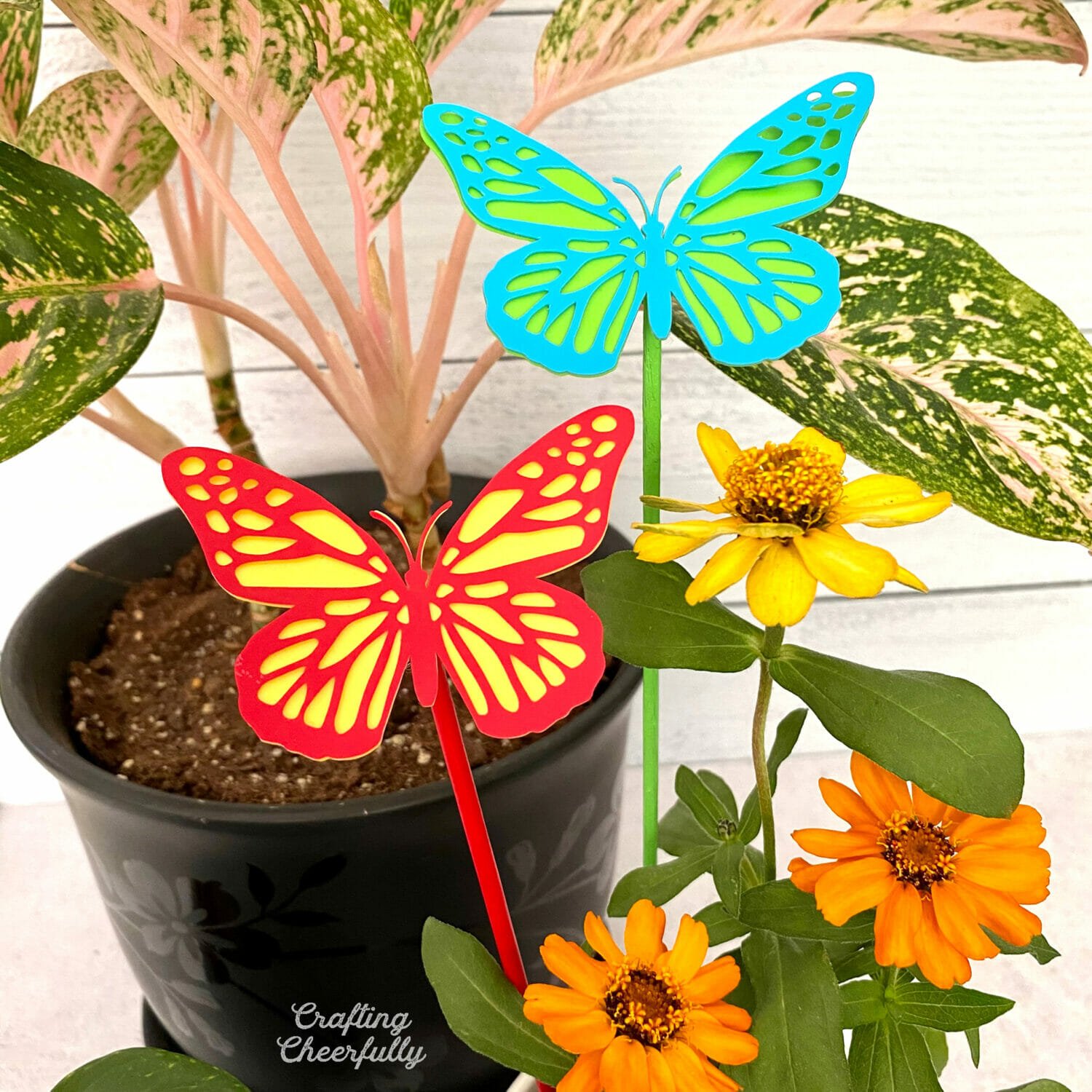 DIY Butterfly Plant Stakes for House Plants for House Plants - Crafting  Cheerfully