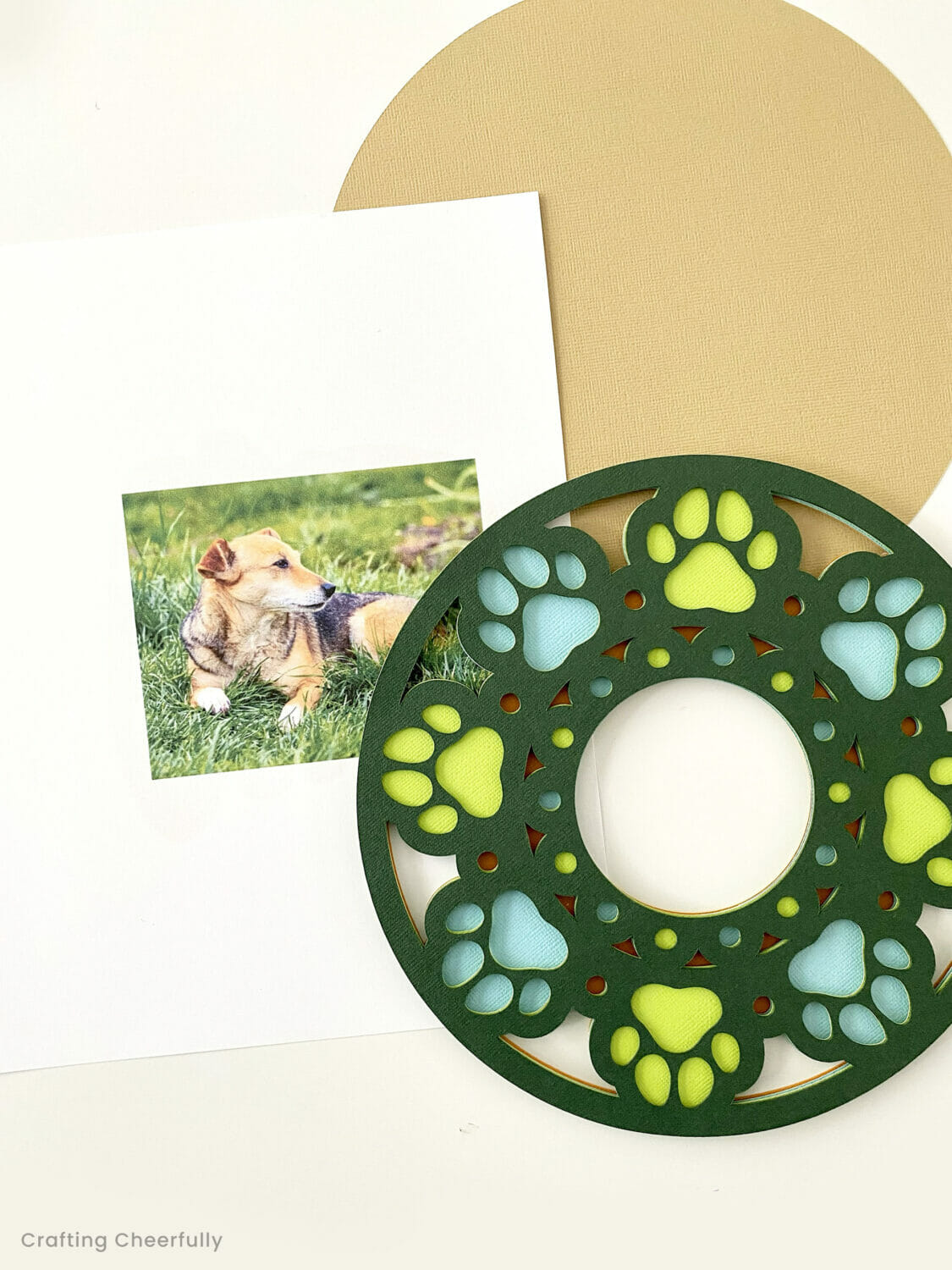 Picture of dog and the paw print mandala.