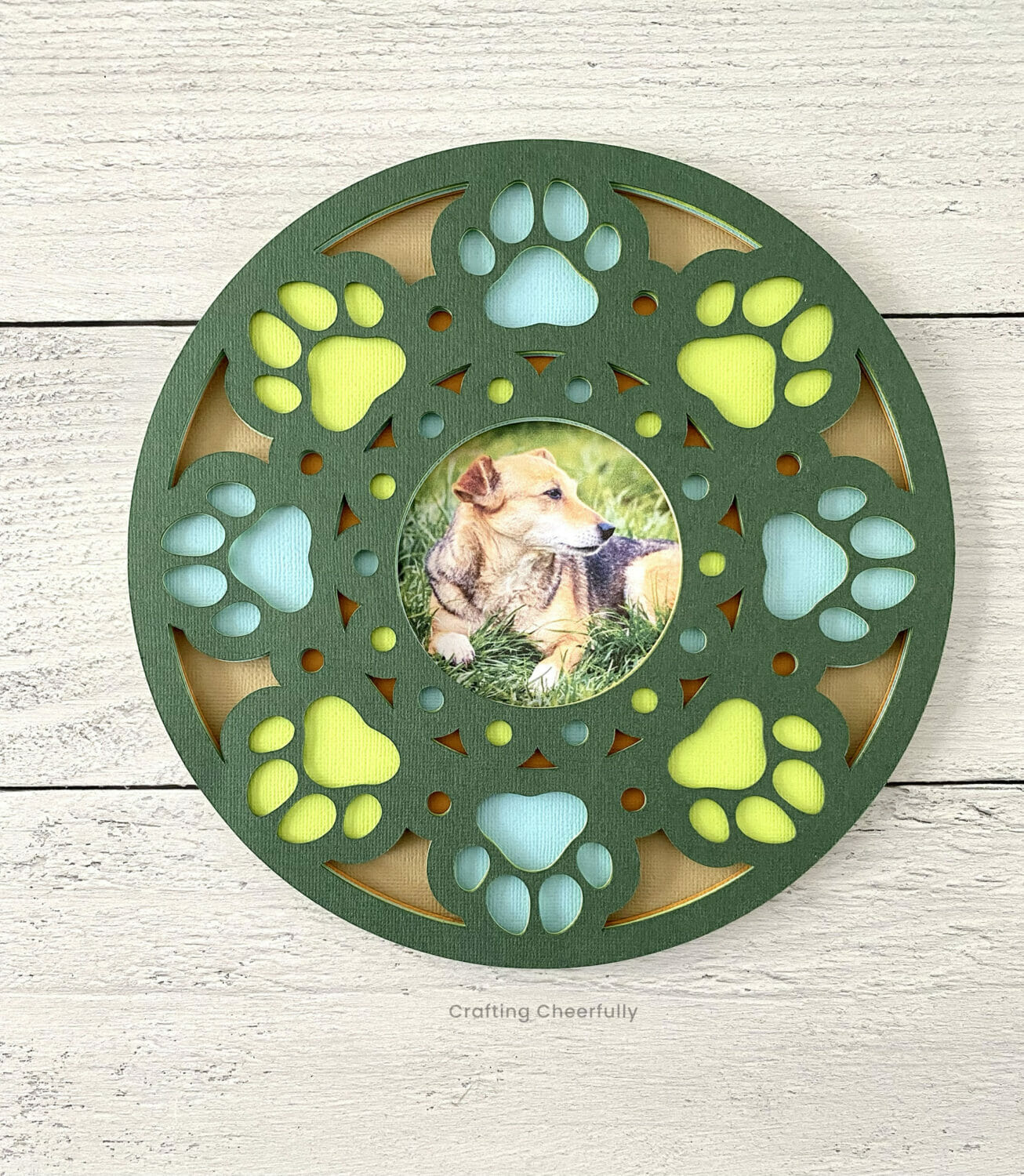 Dog print mandala frame made from colored cardstock with a picture of the dog in the center.