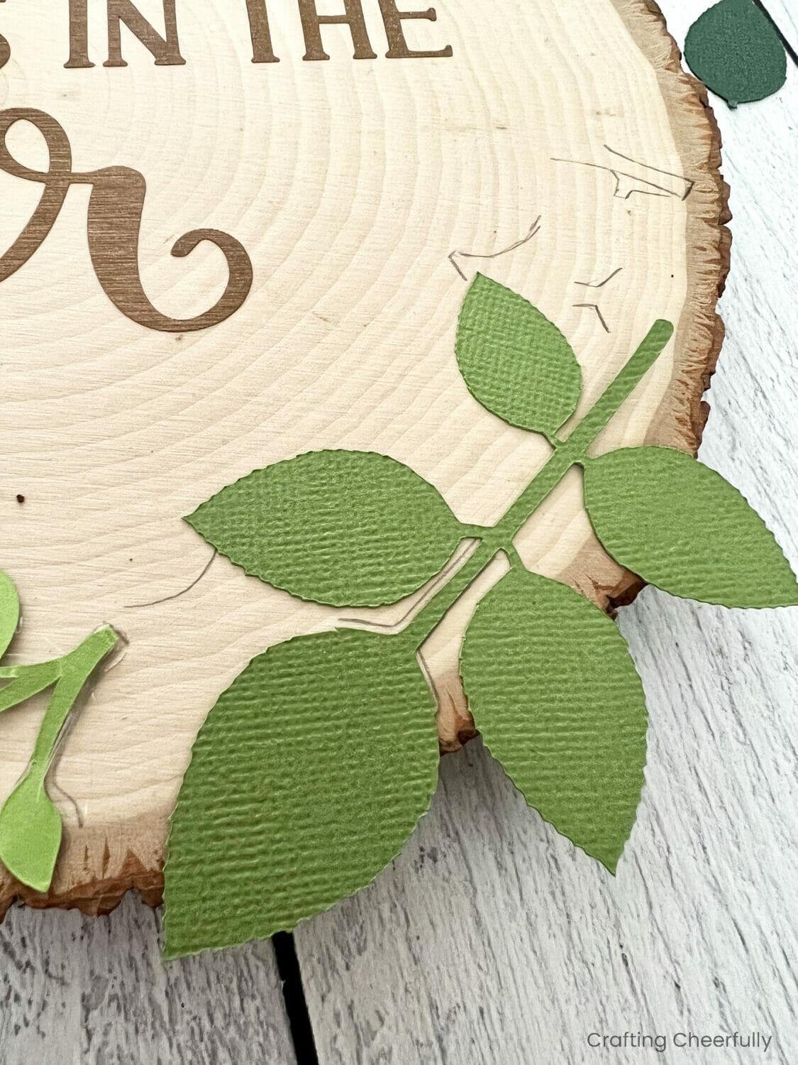 Pencil markings show were the leaves had been on the wood slice.