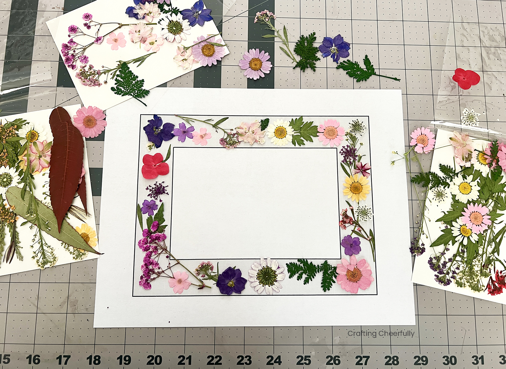 Pressed flowers are arranged on a second template.