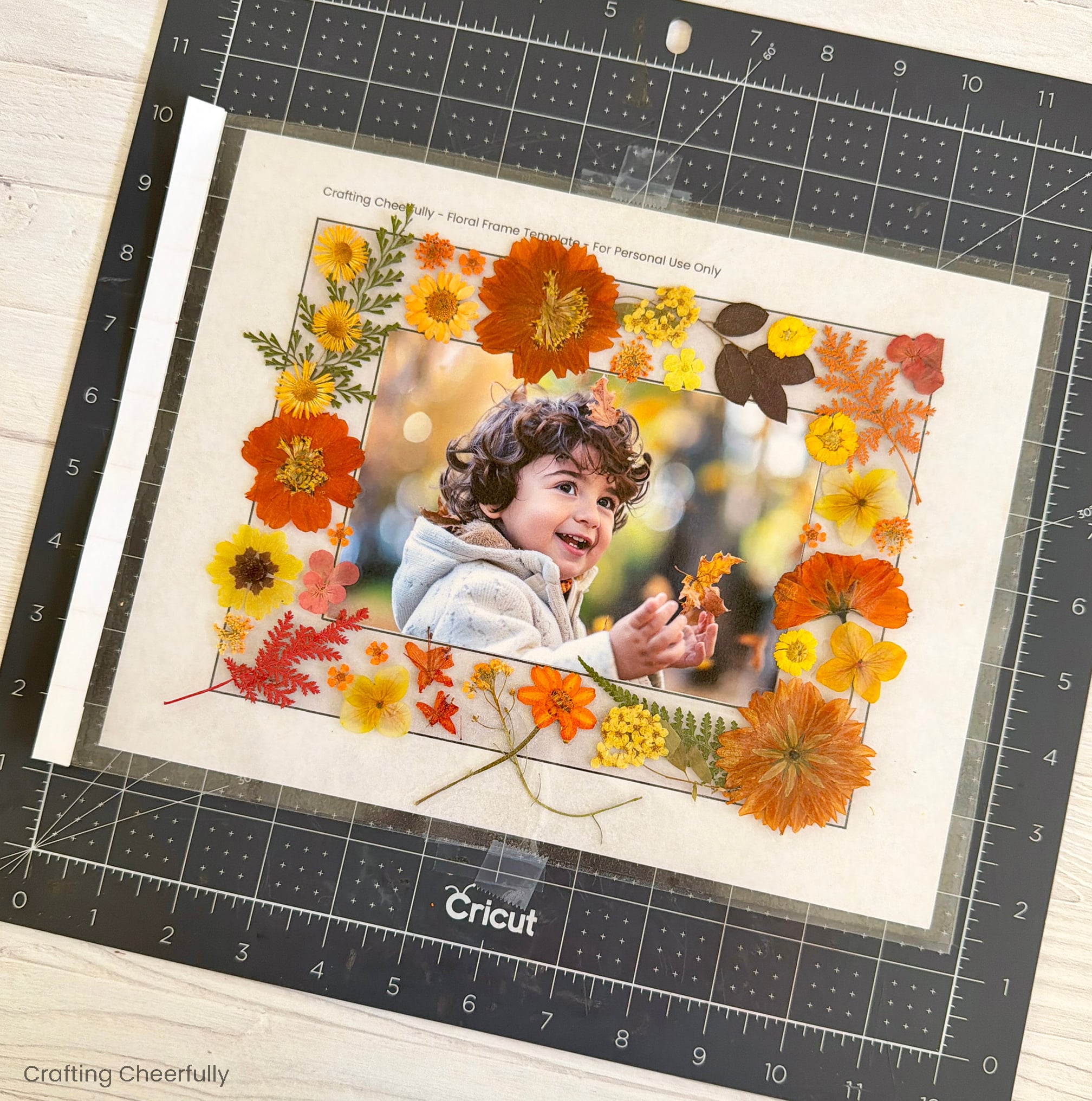 The arranged leaves and flowers are pressed between two layers of lamination.