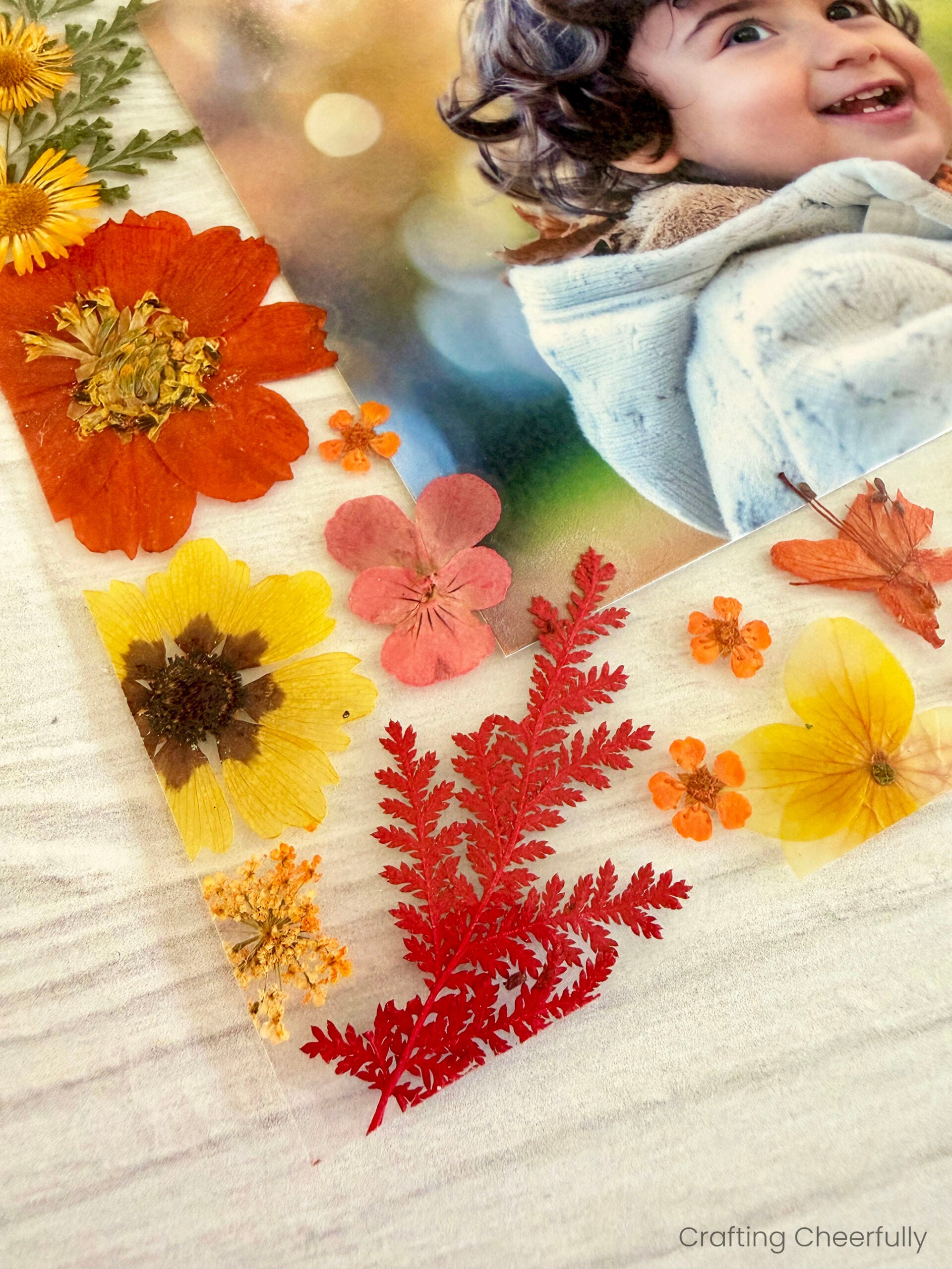 Fall leaf frame with pressed leaves and flowers.