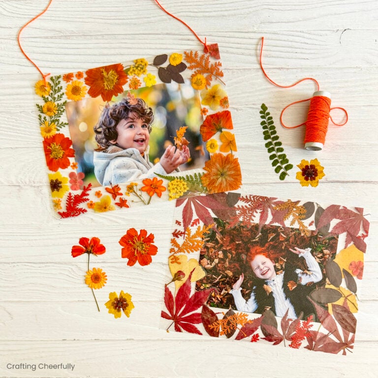 Autumn pressed leaf frame.